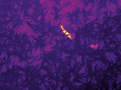 Drohnen als Jagdhelfer-Bild